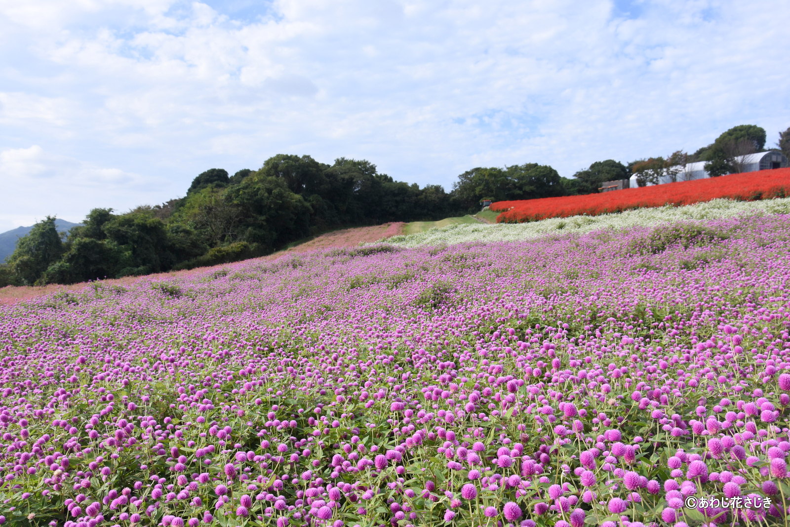 ふれあいの花園