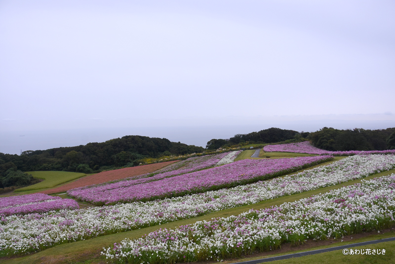 癒しの花園海側<br />
