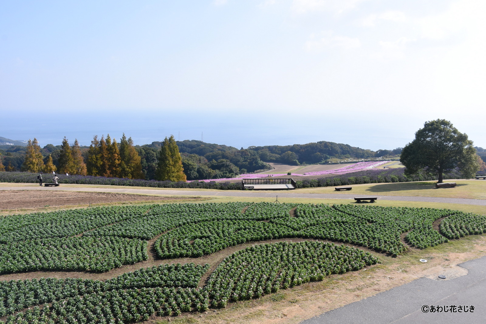 展望デッキから