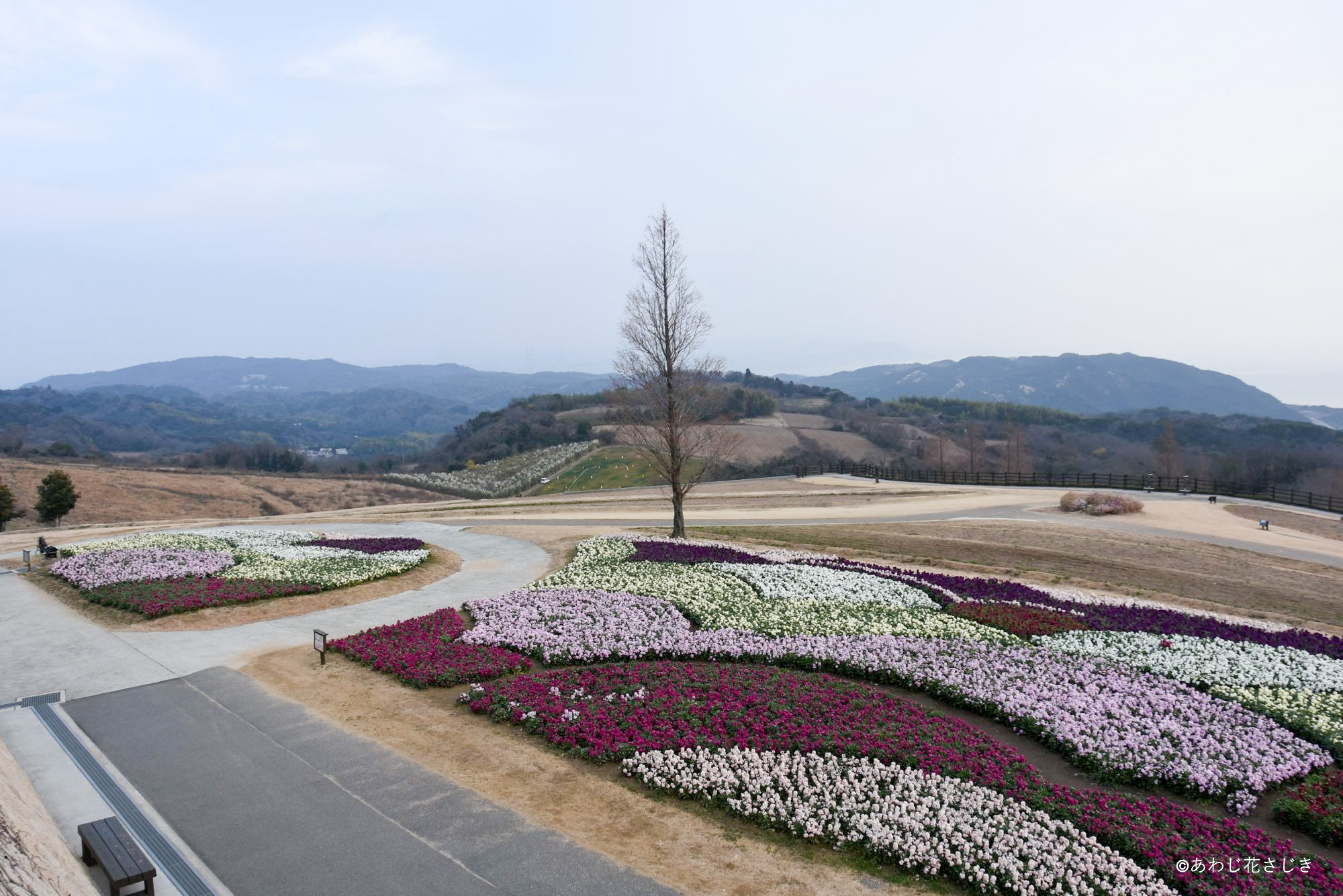 本年もよろしくお願いいたします（1/5更新）