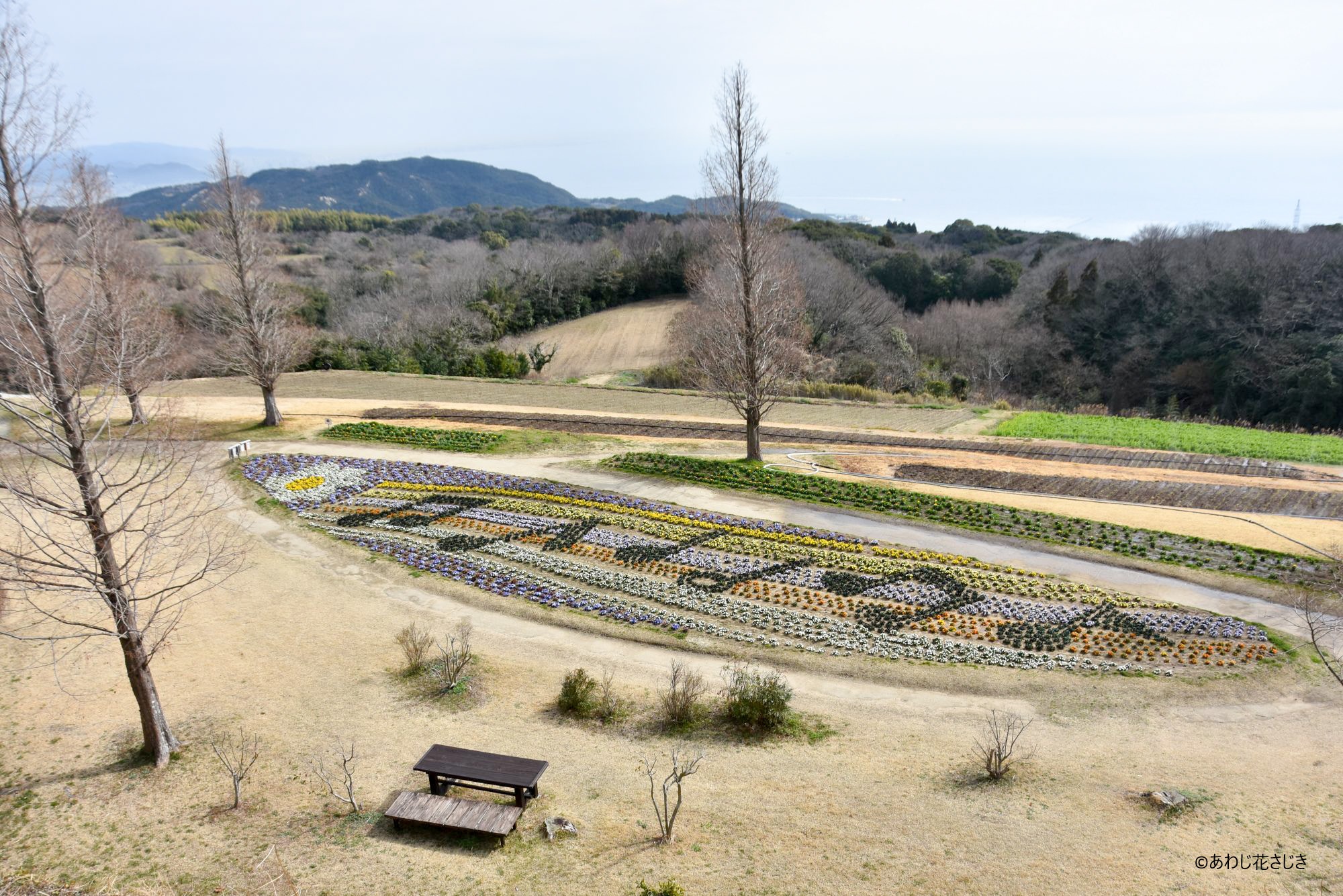 歓びの庭花壇　『風そよぐメロディー』