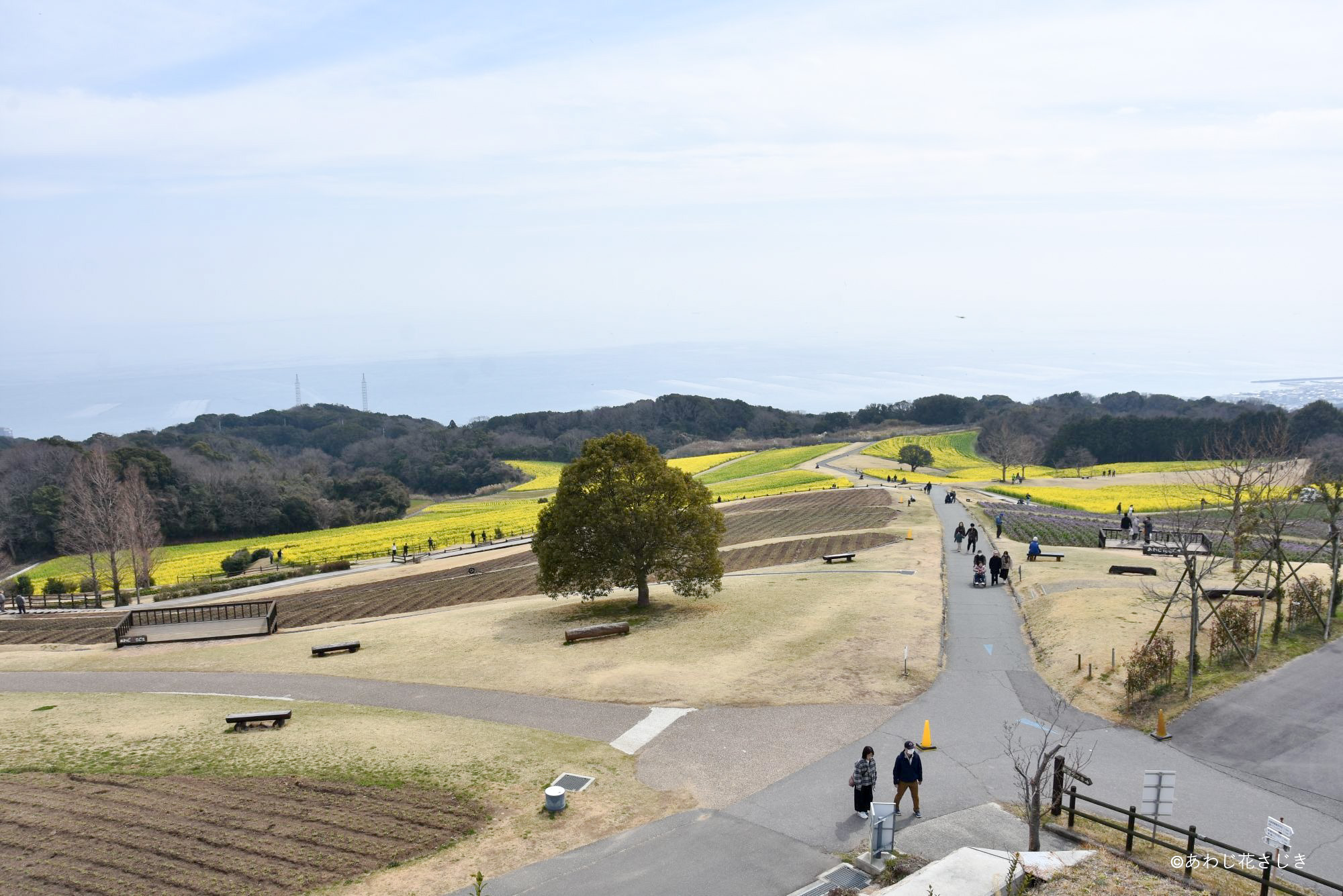 展望デッキから