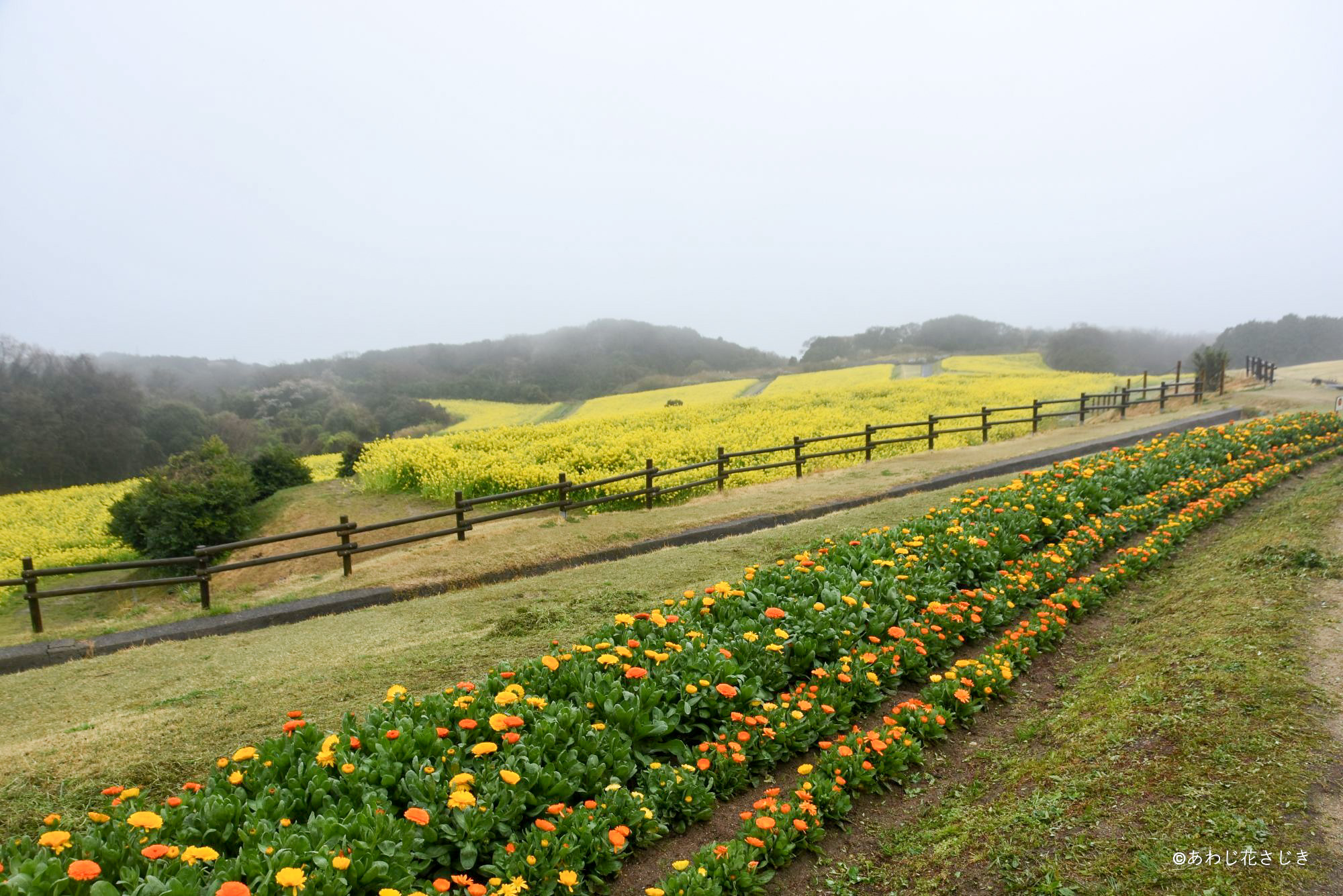 歓びの庭小径から