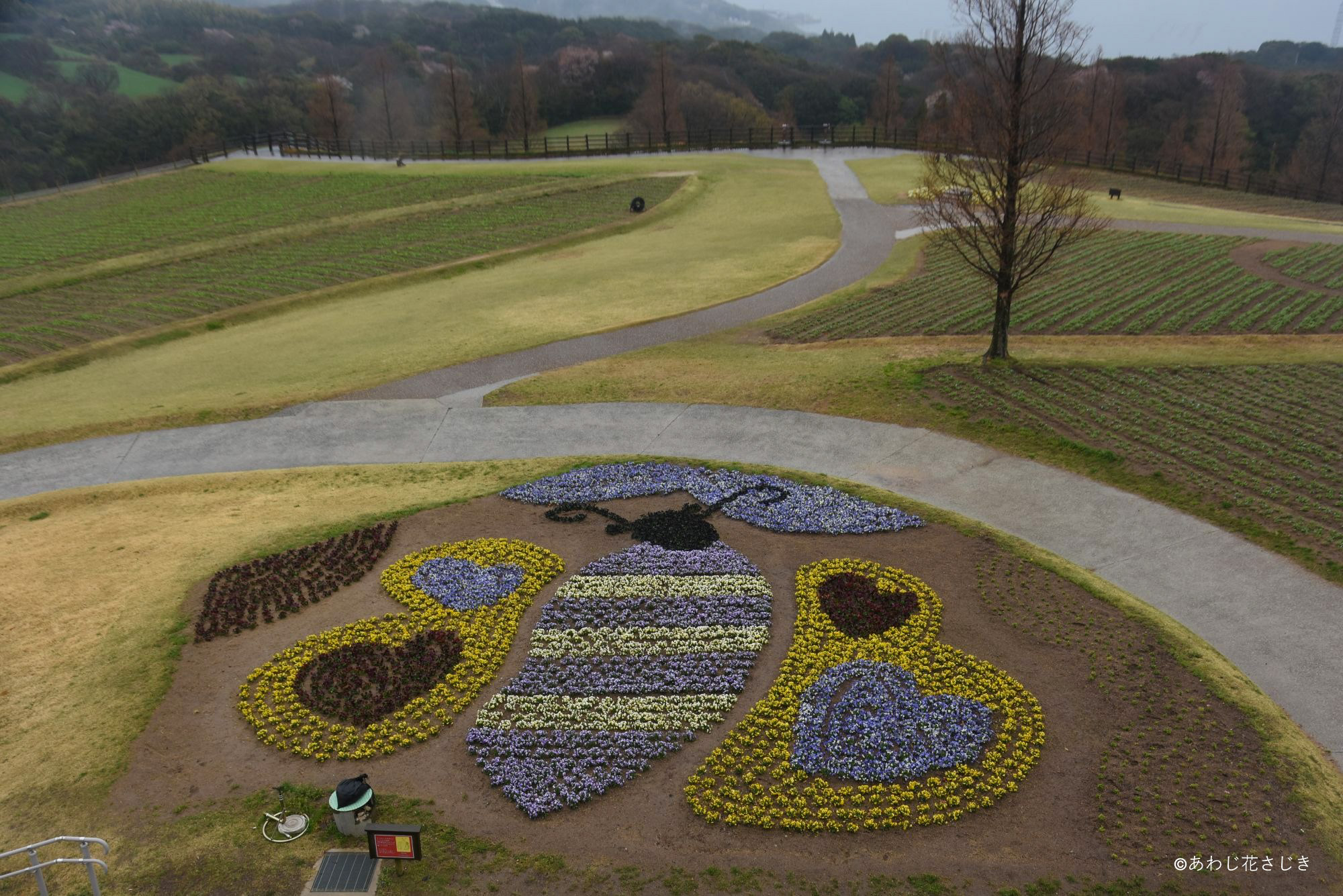 展望デッキから　『ちょう』