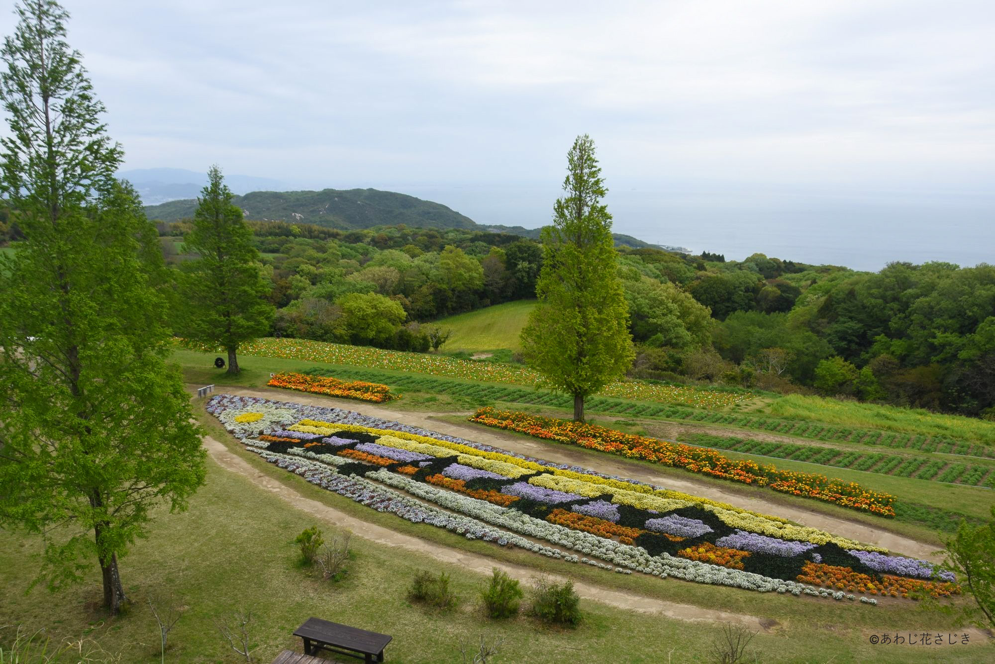 歓びの庭階段から 
